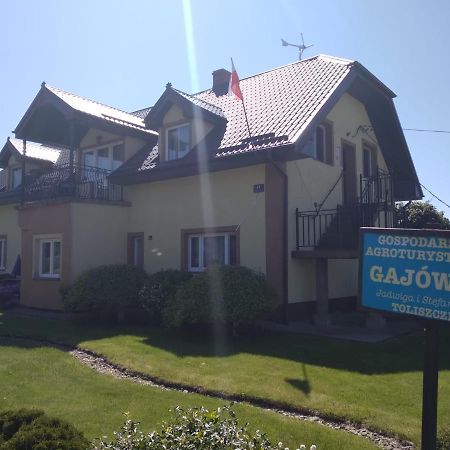 Agrogajowka Apartment Gniewino Exterior photo